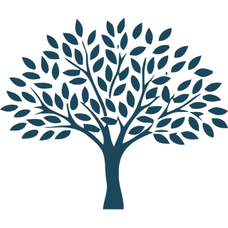Serenity Mesa favicon