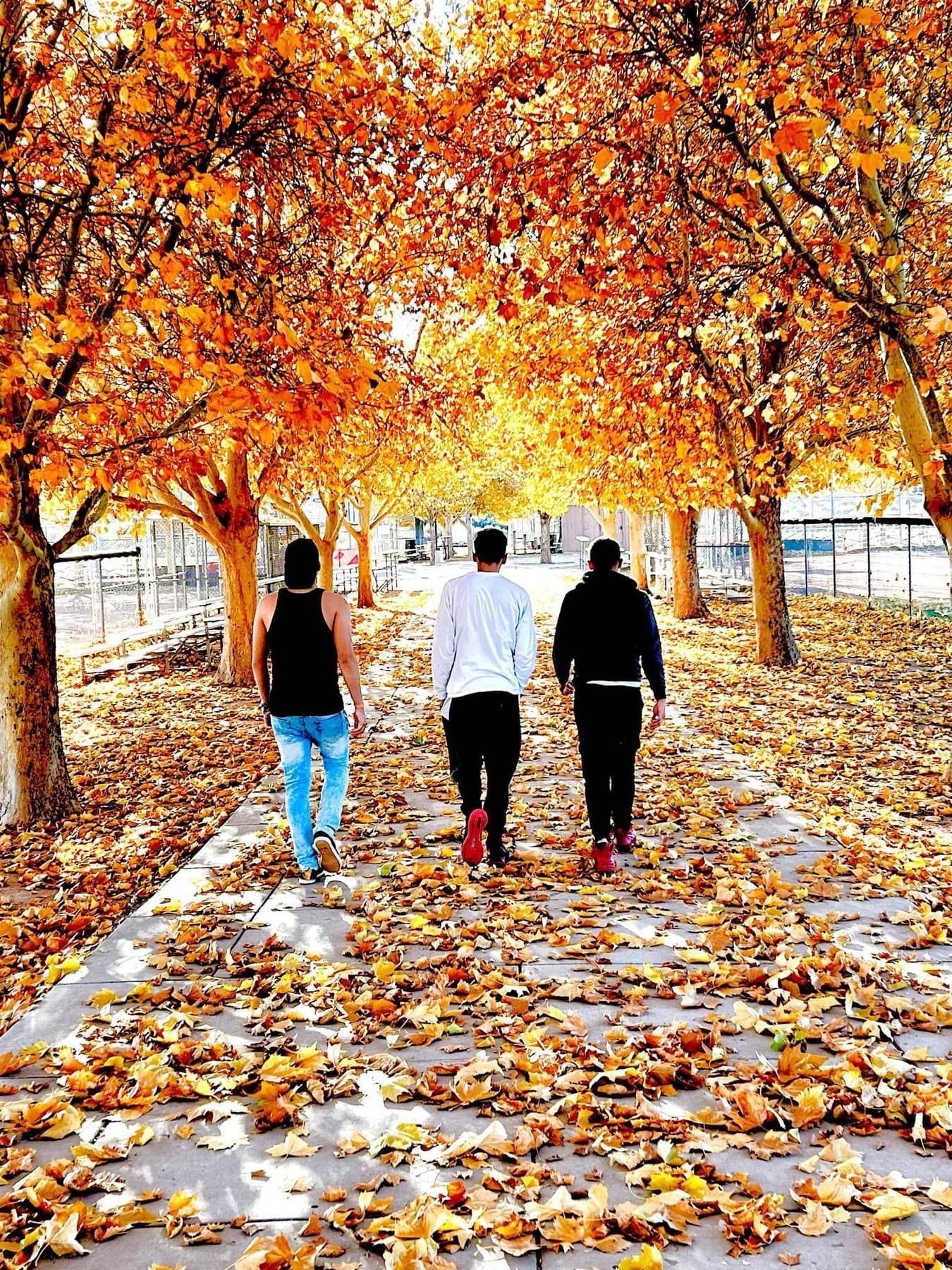 Teenagers walking with fall leaves falling down