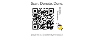 PayBee QR Code